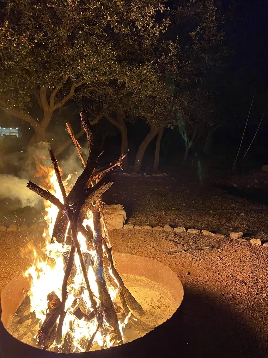 Trophy room with rustic taxidermy displays